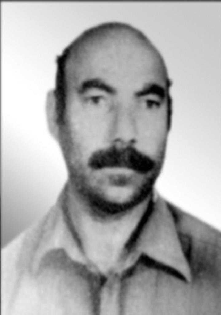 فاقد تصویر